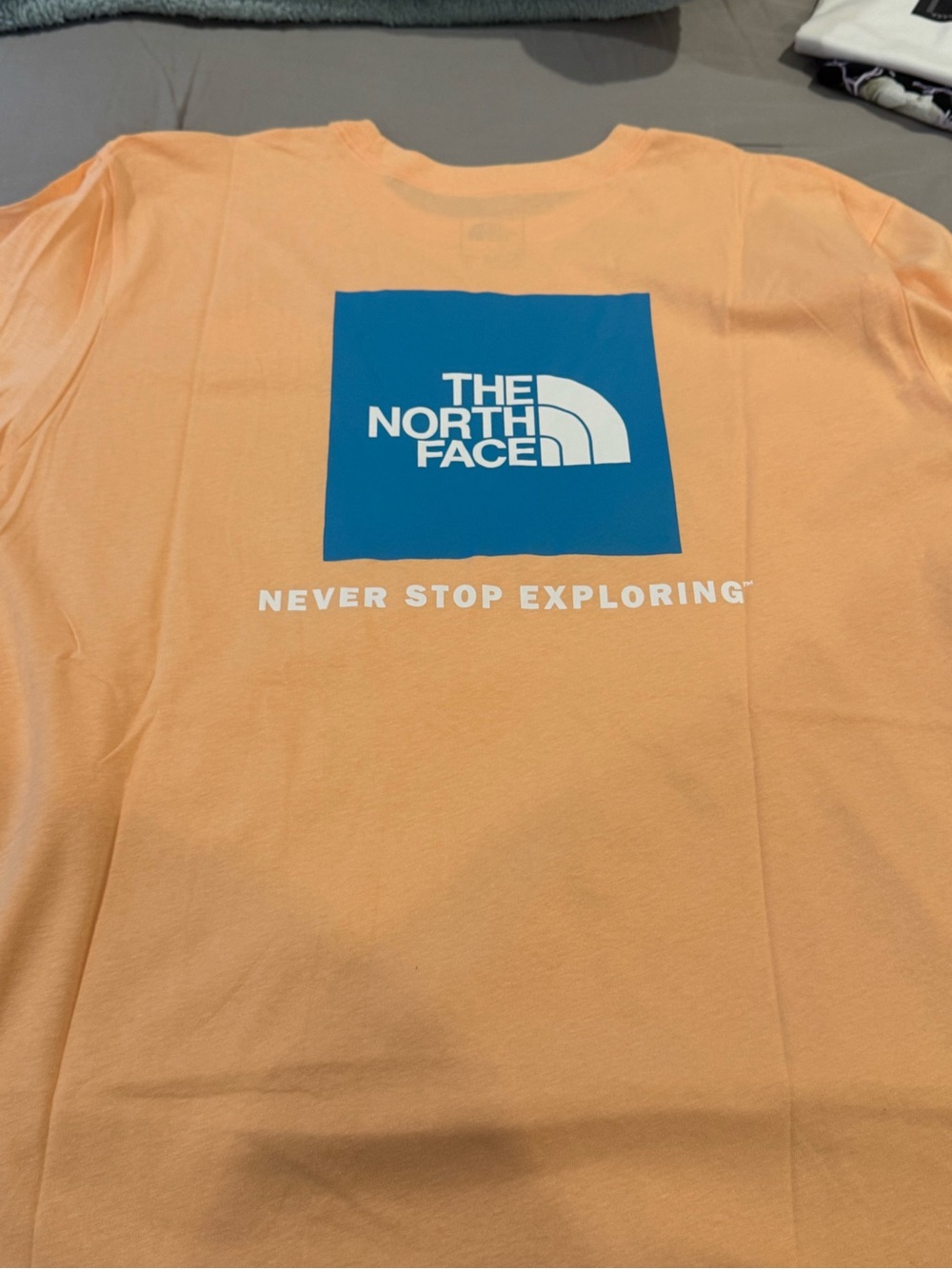 The North Face Peach Tee with Blue Logo